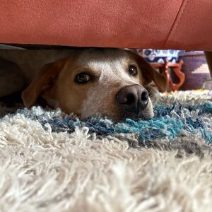 Extra Shipping Label